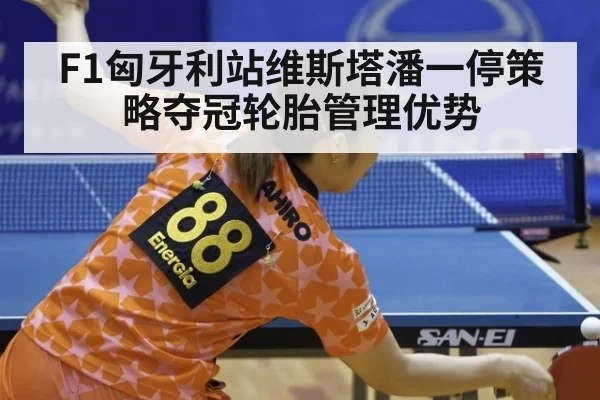 F1匈牙利站维斯塔潘一停策略夺冠轮胎管理优势